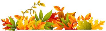 fall leafs_1